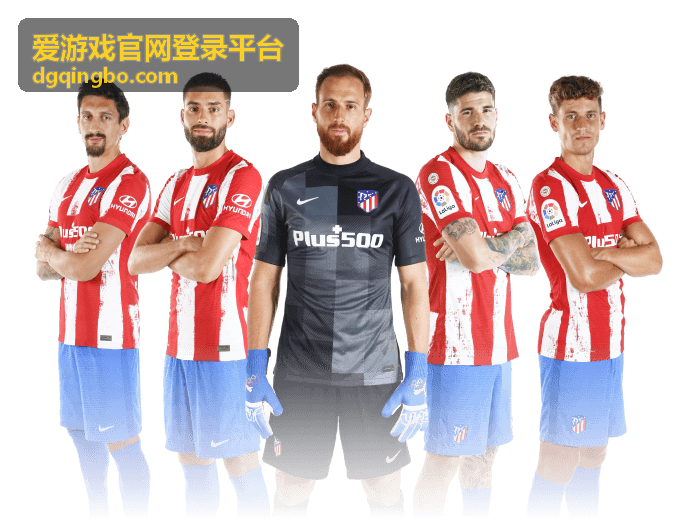 爱游戏官网登录平台设备管理与授权查询